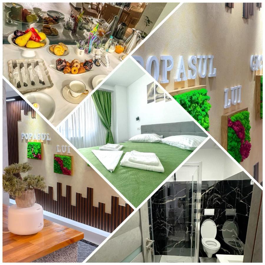 Popasul Lui Gicuta Bed & Breakfast Curtea de Argeş Dış mekan fotoğraf